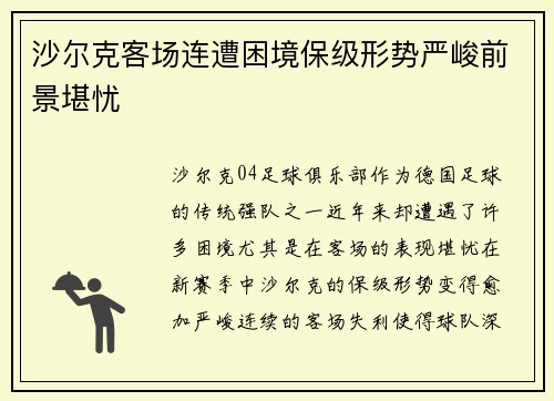 沙尔克客场连遭困境保级形势严峻前景堪忧