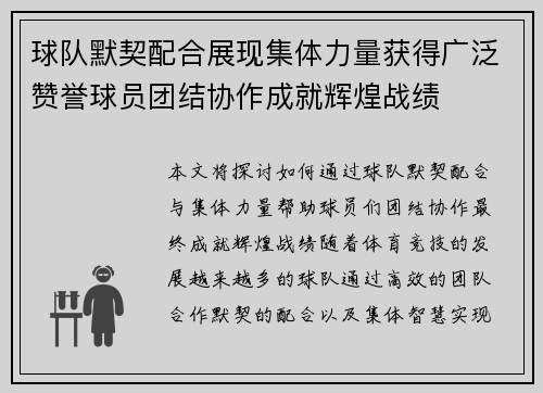 球队默契配合展现集体力量获得广泛赞誉球员团结协作成就辉煌战绩